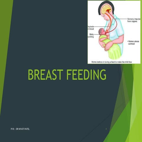 17.BREAST FEEDING.pdf