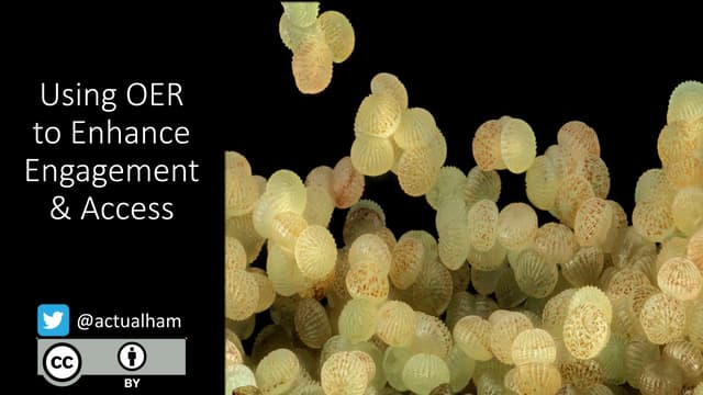 Using OER  to Enhance Engagement & Access