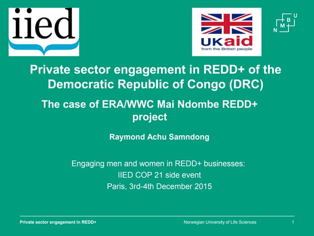 Private sector engagement in REDD+ ...