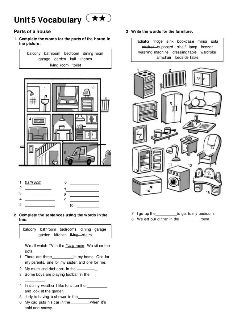 17 Vocabulary Grammar