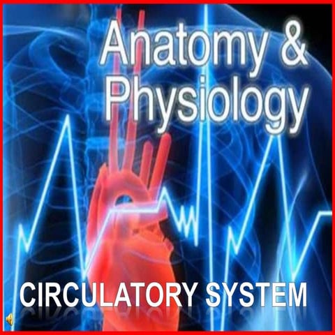 170-Anatomy-Circulatory-System.ppt