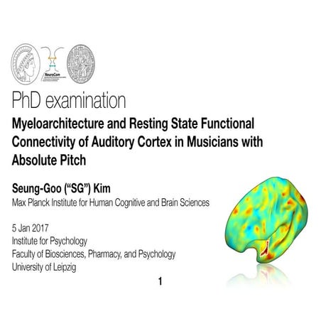 Myeloarchitecture and Intrinsic Functional Connectivity of Auditory Cortex in...