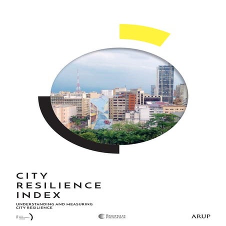 City Resilience Index - ARUP