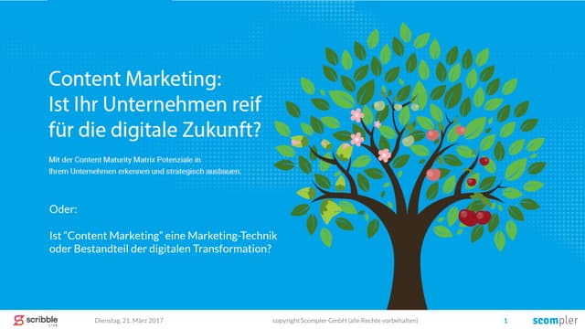 Die Content Maturity Matrix