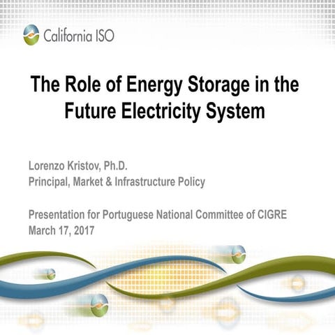 The Role of Energy Storage in the Future Electricity System