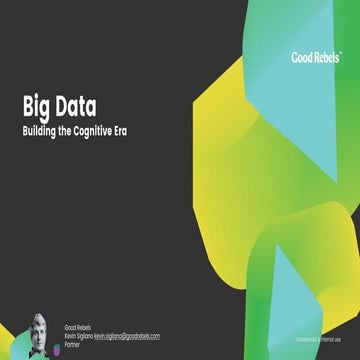 Building the Cognitive Era : Big Data Strategies