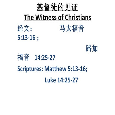 The Witness of Christians - Ji Du Tu De Jian Zhen