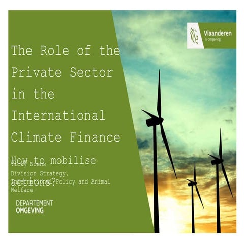 The Role of the Private Sector in the International Climate Finance