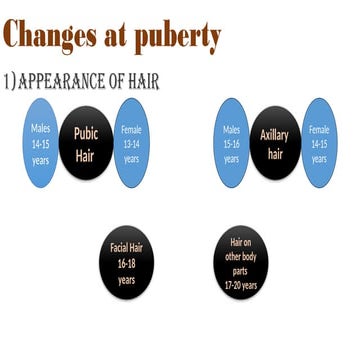 Comprehensive Overview of Human Physiological Changes from Puberty to ...