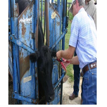 Dr. Tony Frazier, - Alternative Movement Documents