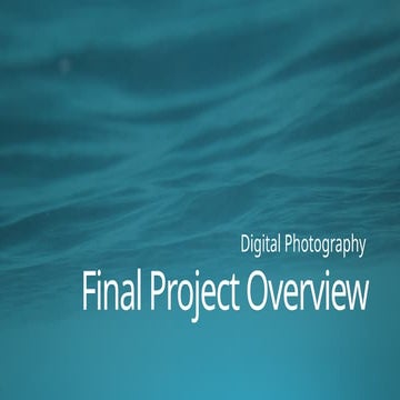 170 New Final Project Overview.pptx Digital Photo 1