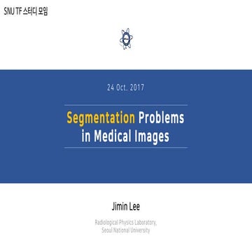 Segmentation problems in medical images