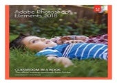 Adobe Photoshop Elements 2018 Classroom in a Book book 193