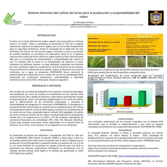 1711 - Sistema Intensivo del Cultivo del Arroz para la Producción y Sustentab...