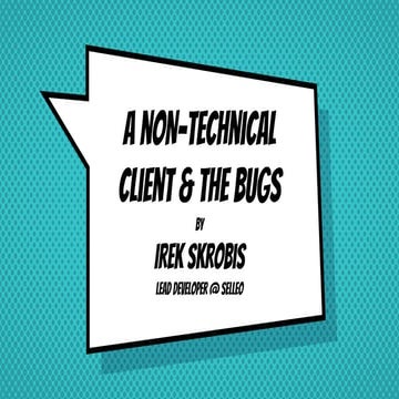 Bugs and non-technical client