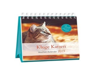 Kluge Katzen WochenKalender 2019 zum Aufstellen m Fotos u Zitaten inspirierende Texte auf d Ruckseiten Spiralbindung 166 x 158 cm Nice