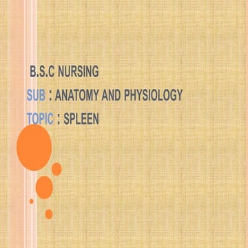 Spleen and Lymph Nodes Anatomy and Physiology  .pptx