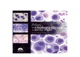 Atlas de citolog�a cl�nica del perro y del gato Libros de veterinaria Editorial Servet Nice