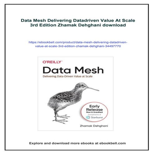 Data Mesh Delivering Datadriven Value At Scale 3rd Edition Zhamak Dehghani