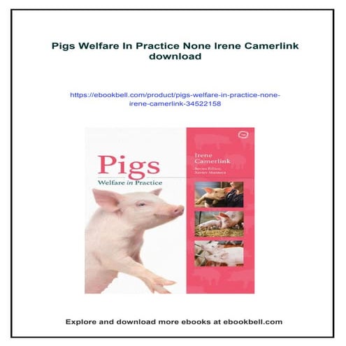 Pigs Welfare In Practice None Irene Camerlink