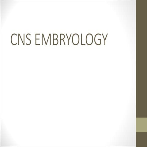 SPINE FORMATION FROM START UPTO THE LASR WEEK