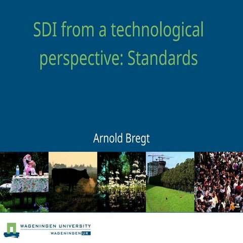 SDI FROM A TECHNICAL PERSPECTIVE STANDARDS