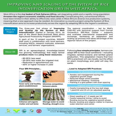 1434 - Improving and Scaling Up the System of Rice Intensification in West Af...
