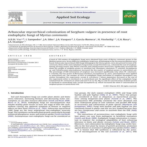 6_Arbuscular mycorrhizal colonization of Sorghum vulgare in presence of root ...