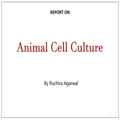 Animal cell culture