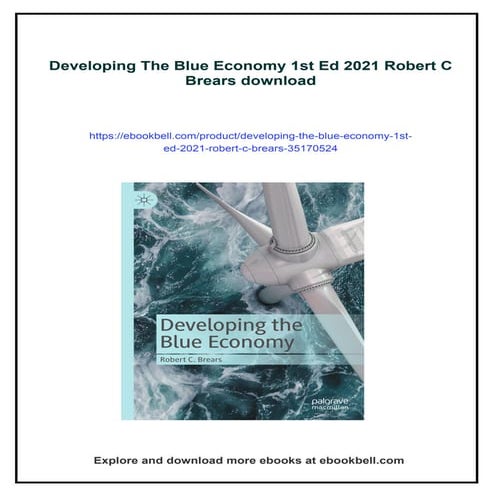 Developing The Blue Economy 1st Ed 2021 Robert C Brears
