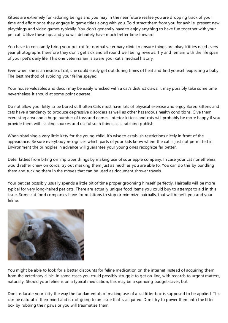 budget veterinary clinic