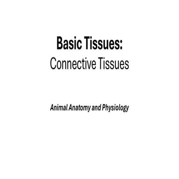 Histology of Connective Tissue.pptx