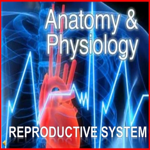 Grade 10- Anatomy-Reproductive-System (1).ppt
