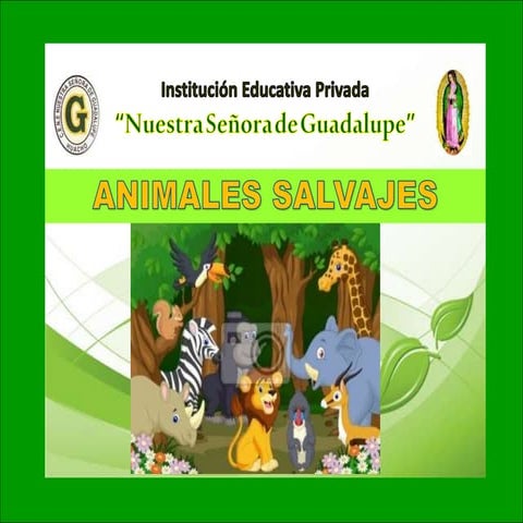 17 animales que vuelan | PPTX