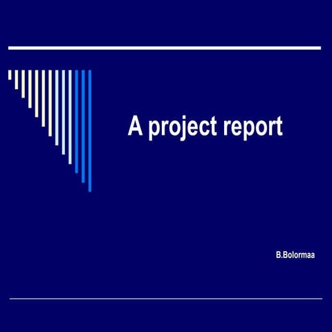 17 A Project Report Bolormaa