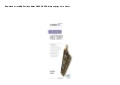 DL My Revision Notes WJEC GCSE History d00nl0d 1 17c17526425 211004070504 thumbnail 2