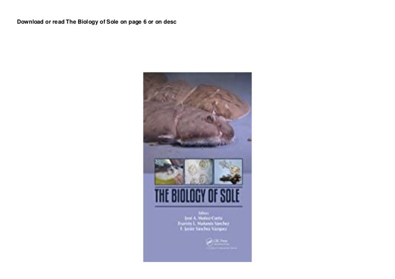 DL The Biology of Sole pedeef 3 17c26f5a868 210929054508 thumbnail 4