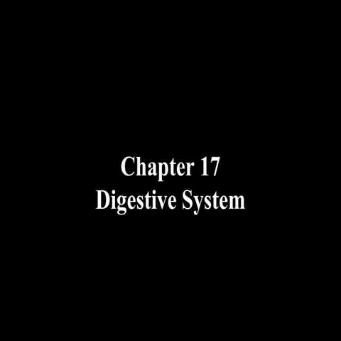 17 Digestive
