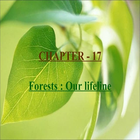 17forestsourlifeline | PPT