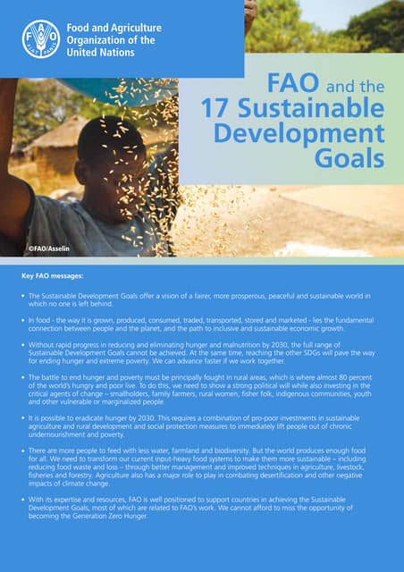 17 sustainable Development Goals