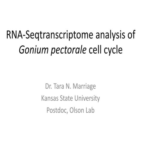 RNA-Seq transcriptome analysis of Gonium pectorale cell cycle.