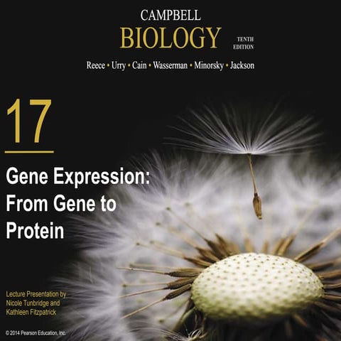 17 Lecture BIOL 1010-30 Gillette College