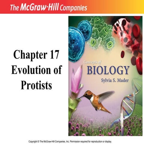 Evolution of Protists