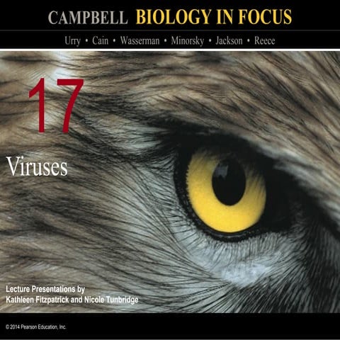 Biology in Focus - Chapter 17