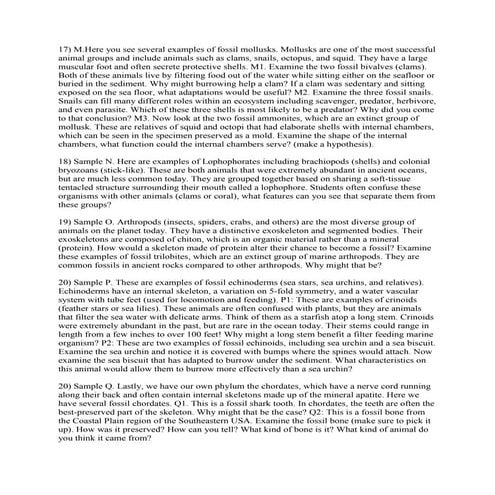 17) M-Here you see several examples of fossil mollusks- Mollusks are o.docx