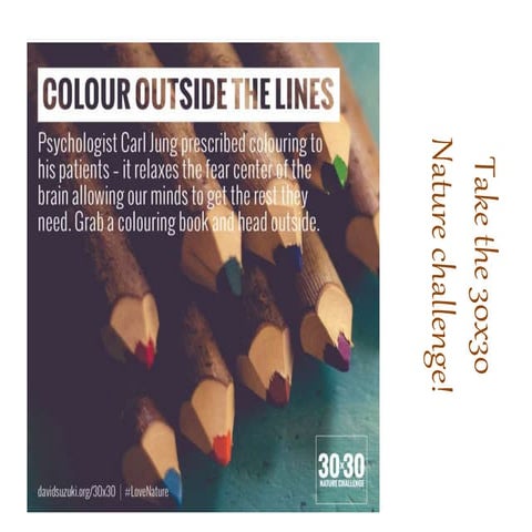 Morning Announcements for Wednesday, May 18, 2016