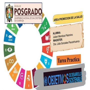 Ojetivo de desarrollo sostenible ODS 17