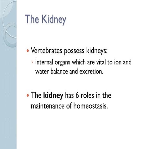 17 Osmoregulation II PPT.pdf