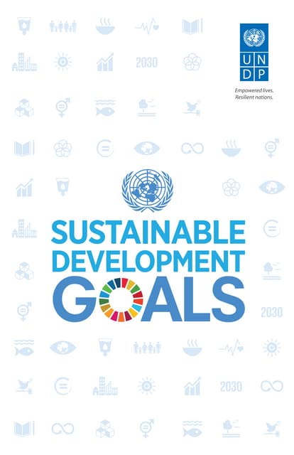 17. Sustainable Development Goals UN