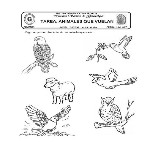 17 tarea animales que vuelan | PDF